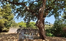 Vila Pasiphae