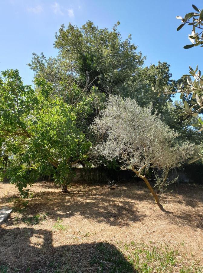 Vila Pasiphae Αρμένοι Εξωτερικό φωτογραφία